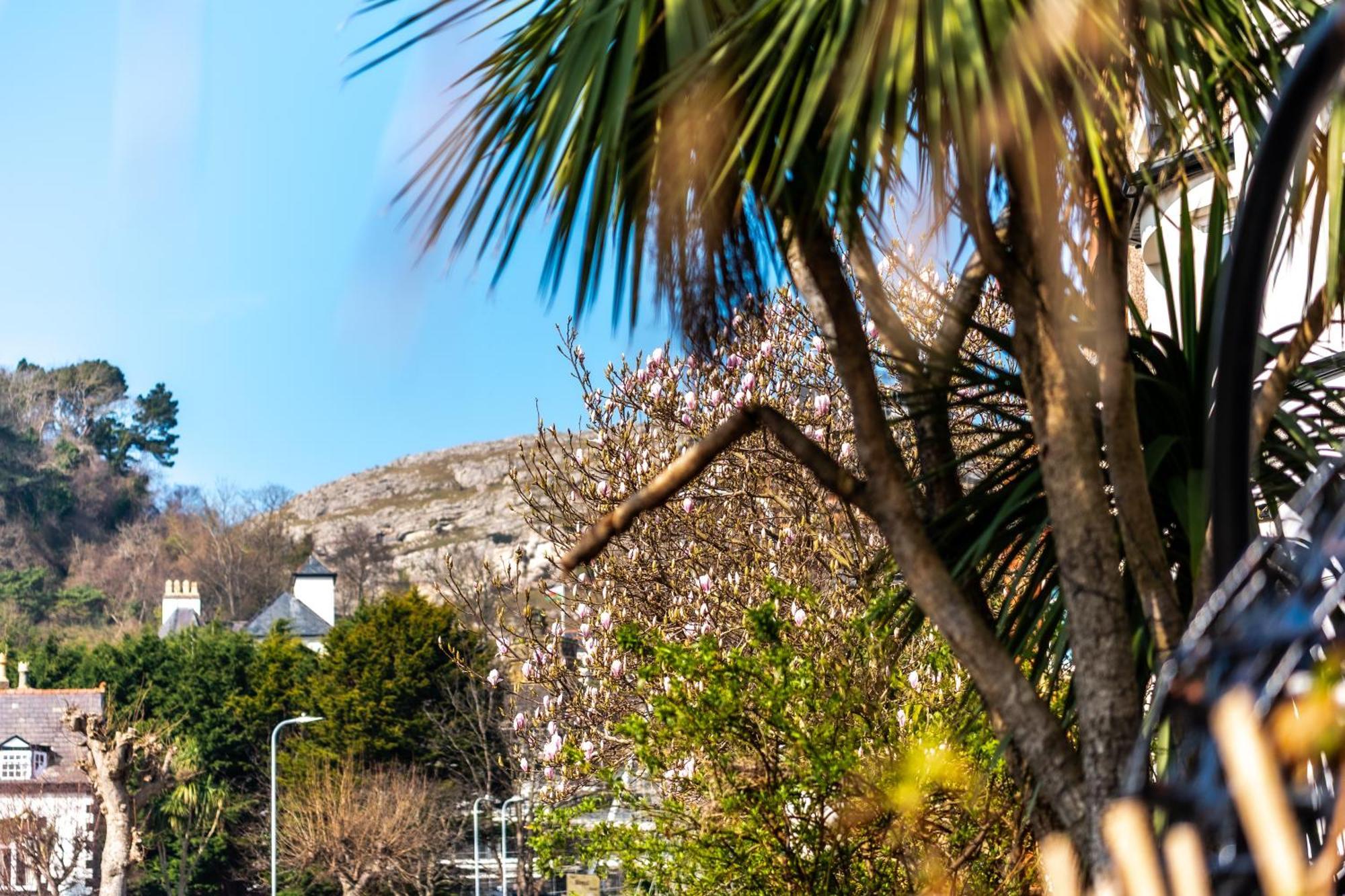 Hotel Mulberry House Llandudno Exterior foto